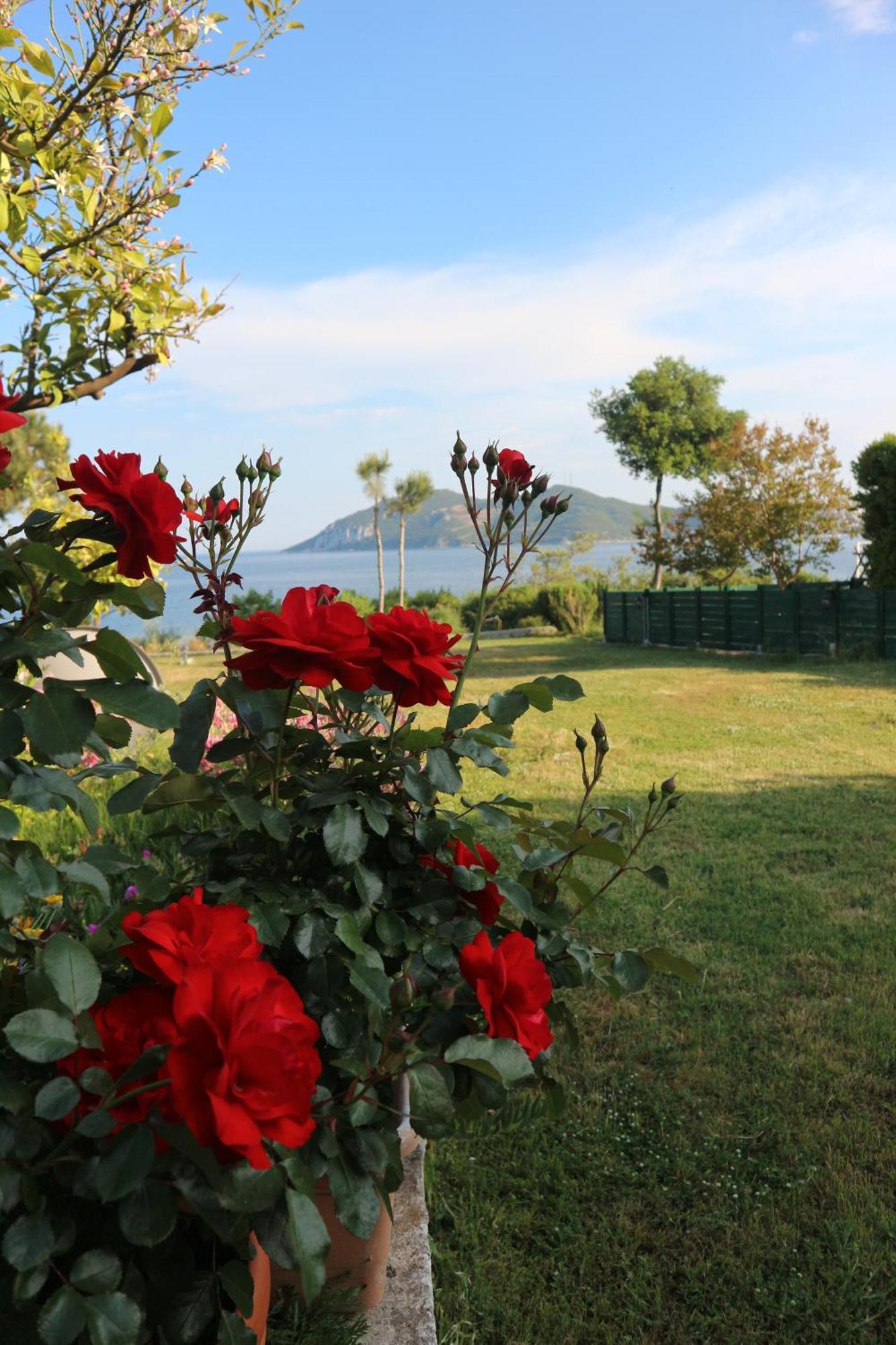 Iraklitsa View Apartman Nea Iraklitsa Kültér fotó